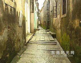 �����齫�����������Ƶ��6Ѯʧ����̫���Թ�Ӥ����������˫��̥(��ͼ)...